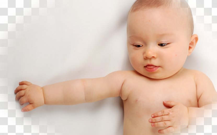 Ontogeny Infant Asymmetrical Tonic Neck Reflex Child - Development Of The Nervous System - Babies Transparent PNG