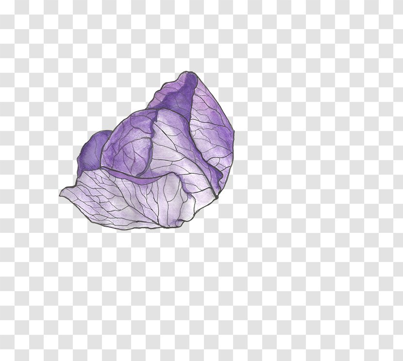 Red Cabbage Vegetable - Purple Transparent PNG