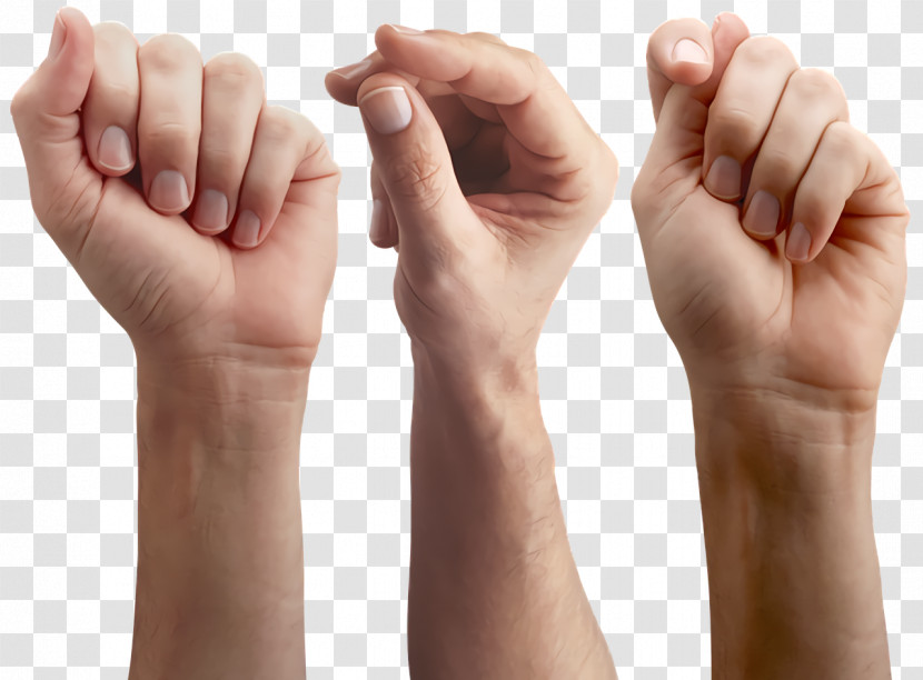 Joint Hand Model Sign Language Language Finger Snapping Transparent PNG