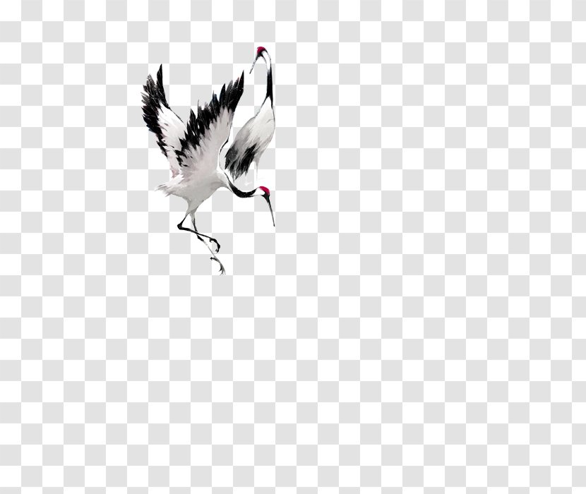 Crane Bucky Barnes Bird - Animal Transparent PNG