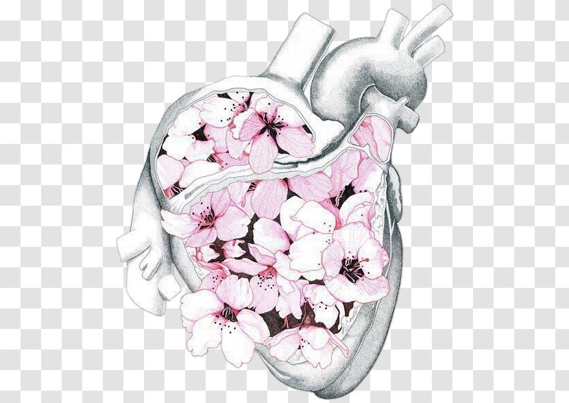 Human Anatomy Heart Body - Watercolor Transparent PNG