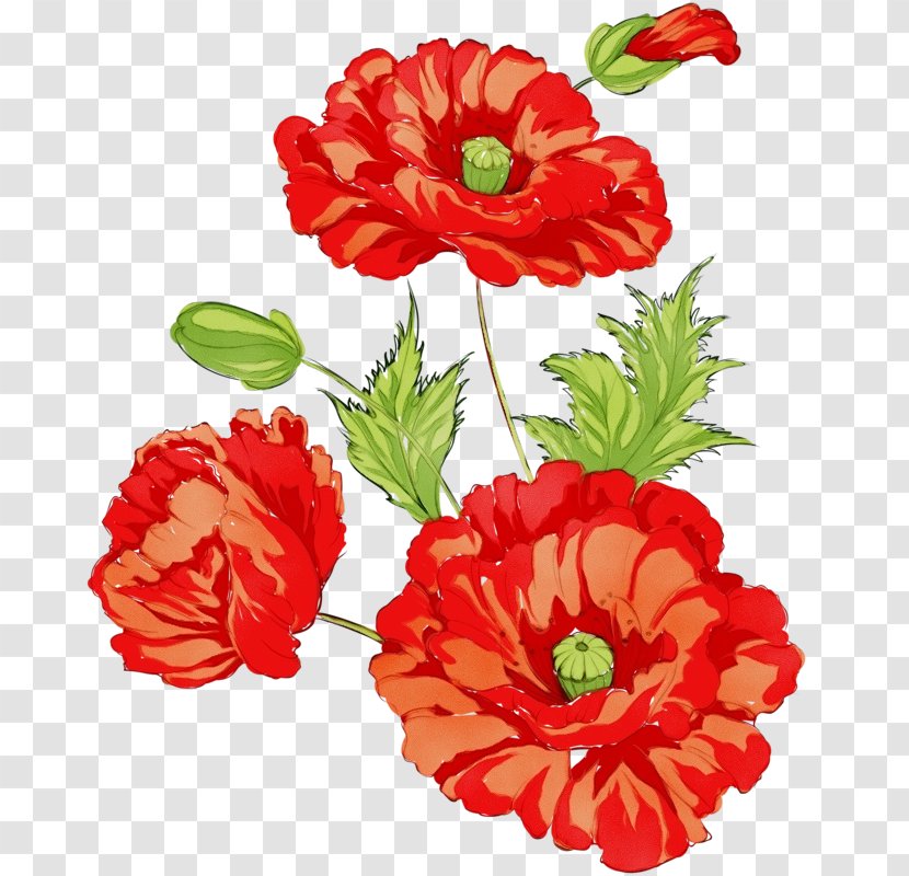 Artificial Flower - Red - Corn Poppy Persian Buttercup Transparent PNG