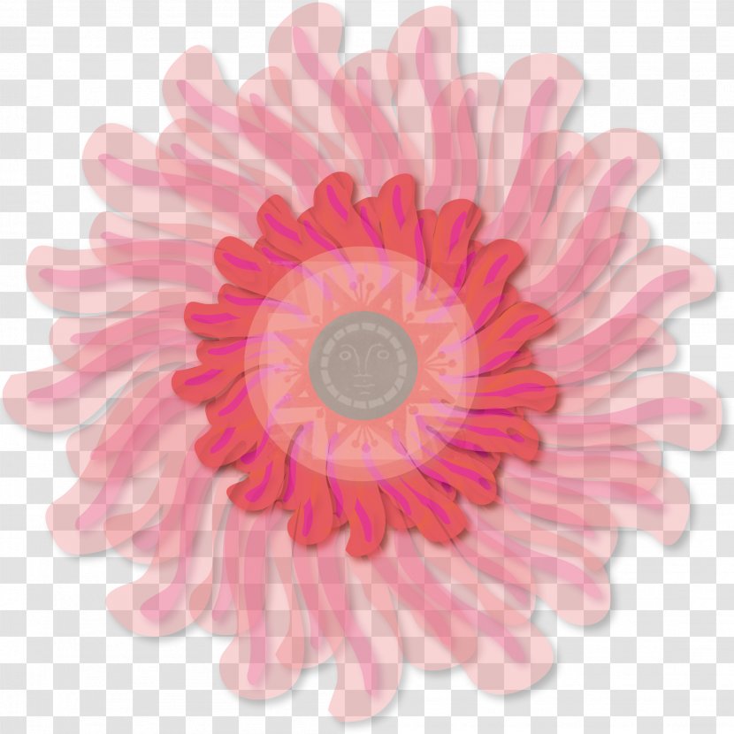Transvaal Daisy Cut Flowers Pink Garland Transparent PNG