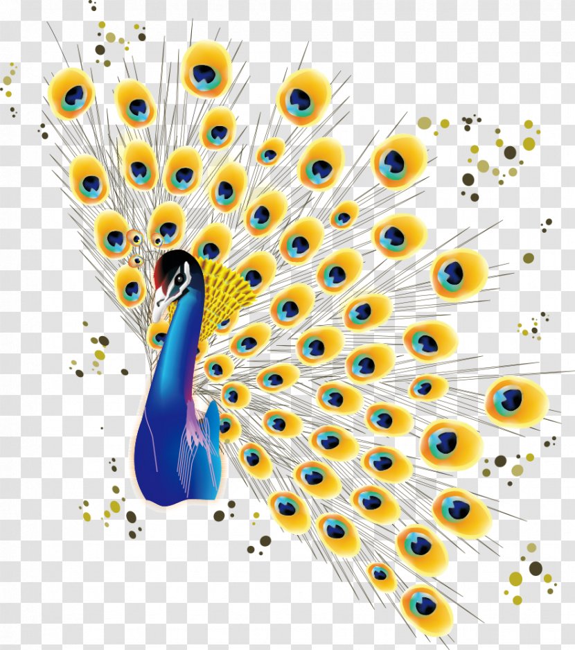 Bird Peafowl Cartoon - Vector Peacock Transparent PNG