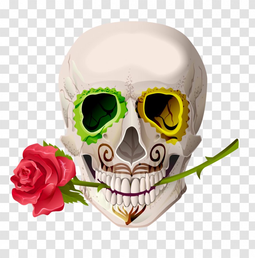 Skull Cinco De Mayo Euclidean Vector Illustration - Hat - Red Rose Skeleton Head Transparent PNG