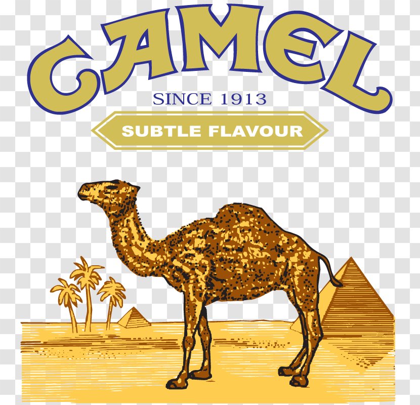 Dromedary Bactrian Camel Logo - Brand - Cigarettes Transparent PNG