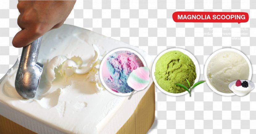 Magnolia Ice Cream & Treats Food Scoops Flavor Transparent PNG