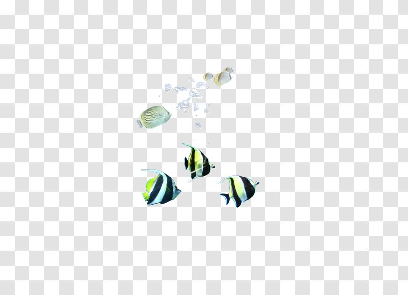 Fish Euclidean Vector Seabed - Resource - Bottom Transparent PNG
