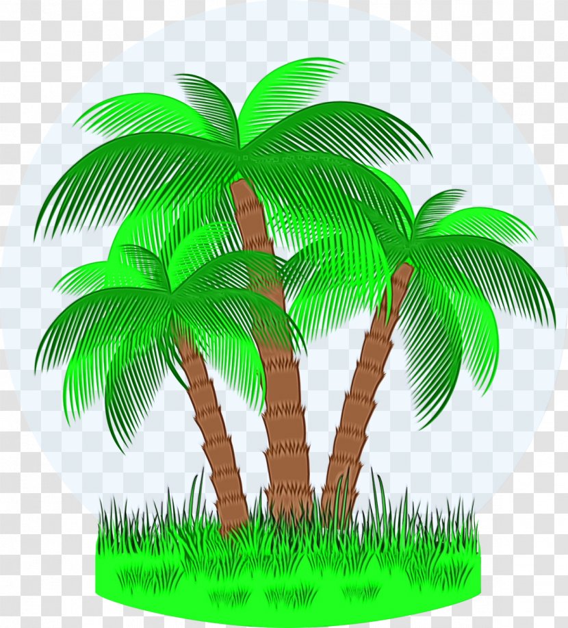 Date Tree Leaf - Coconut - Tropics Plant Stem Transparent PNG