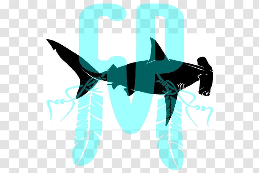 Shark Logo Teal Font - Wing Transparent PNG