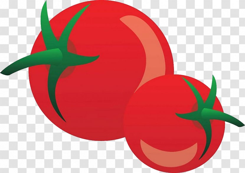 Tomato Juice Cartoon Vegetable - Red Transparent PNG
