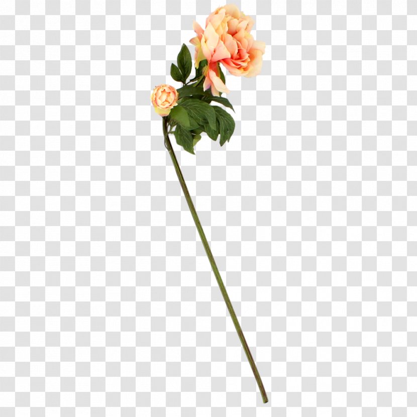 Cut Flowers Flora Flowerpot Artificial Flower - Plant Stem - Hoa Mẫu đơn Transparent PNG