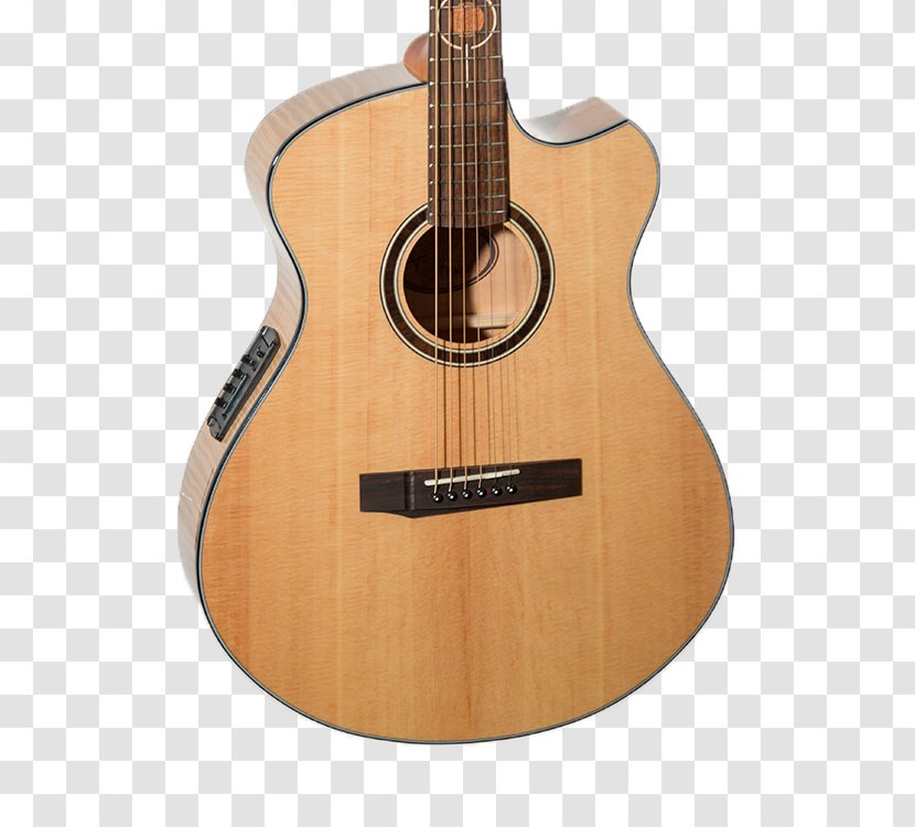 Acoustic Guitar Acoustic-electric Bass Tiple Ovation Company - Tree Transparent PNG