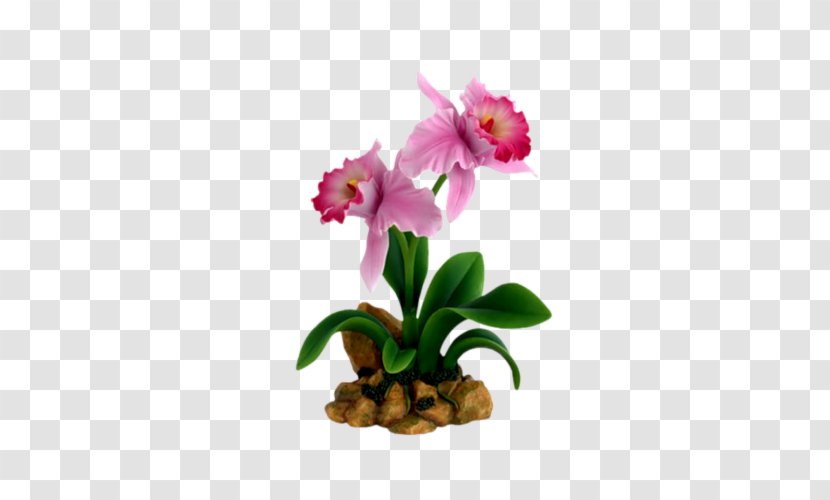 Flower Belmont Orchids Cattleya Dendrobium - Happy Women's Day Transparent PNG