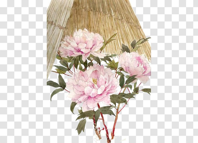 Watercolor Painting Moutan Peony Illustration - Blossom - Chinese Antiquity Beautiful And Hats Transparent PNG