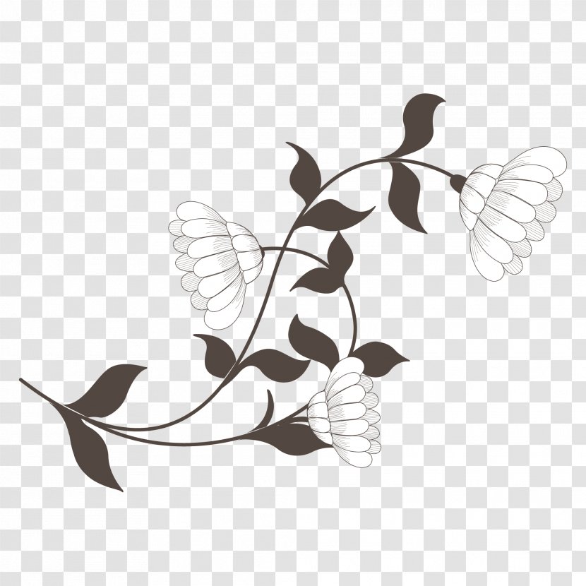 Clip Art - Drawing - Flourish Transparent PNG