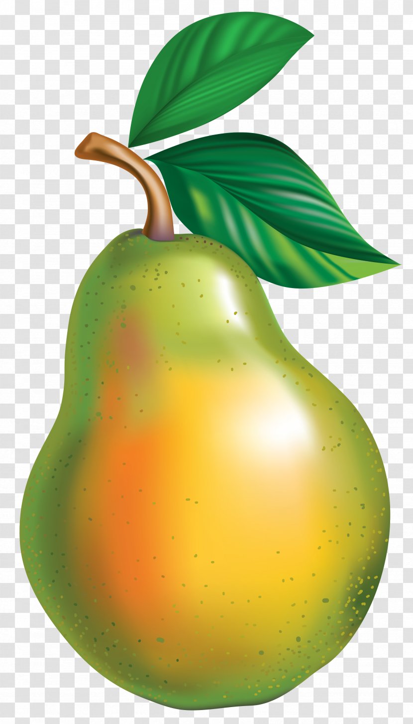 Asian Pear Fruit Clip Art - Plant Transparent PNG