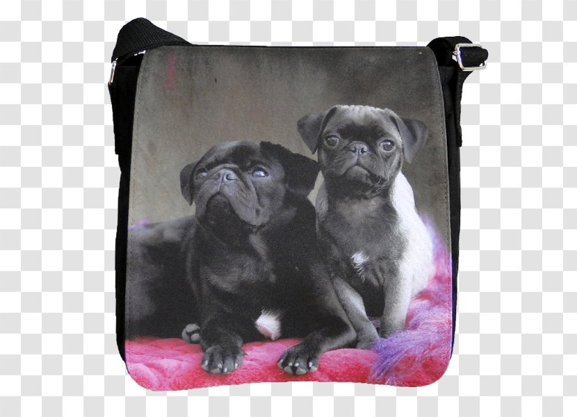 Pug Boston Terrier Puppy Dog Breed Toy - Love Transparent PNG