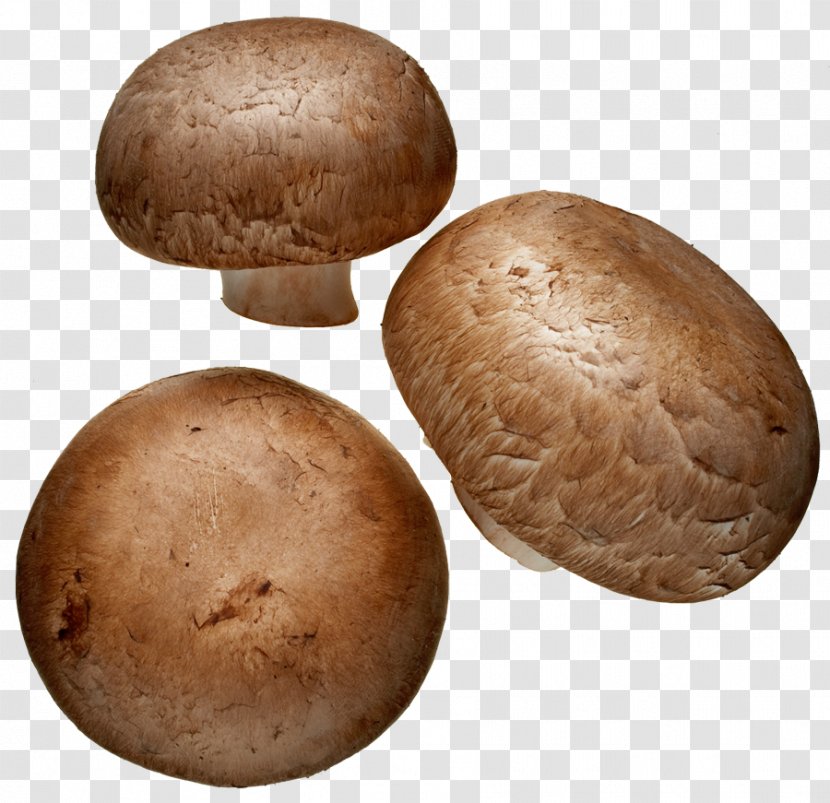 Common Mushroom Edible Shiitake Pleurotus Djamor - Russula Integra - Flavor Transparent PNG