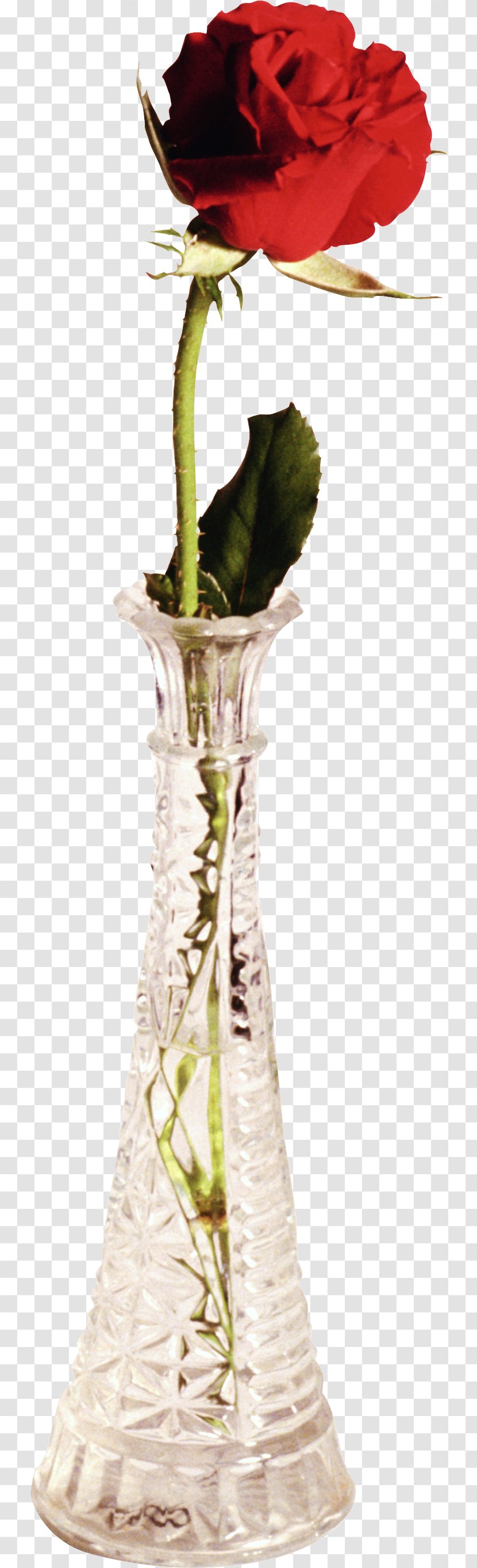 Vase Flower Bouquet Garden Roses - Digital Image Transparent PNG