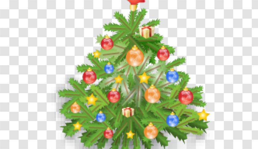 Christmas Tree Day - Fir Transparent PNG