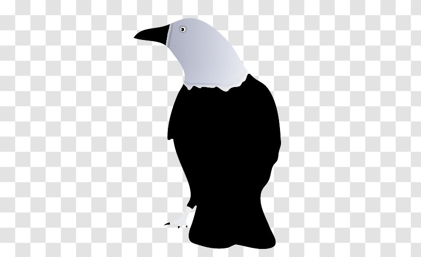 Penguin - Blackandwhite - Piciformes Transparent PNG