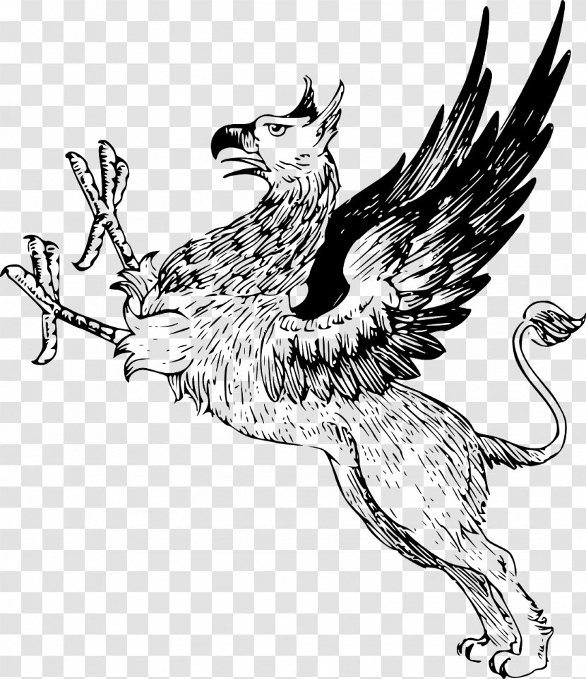 Griffin Line Art Clip - Cat Like Mammal Transparent PNG