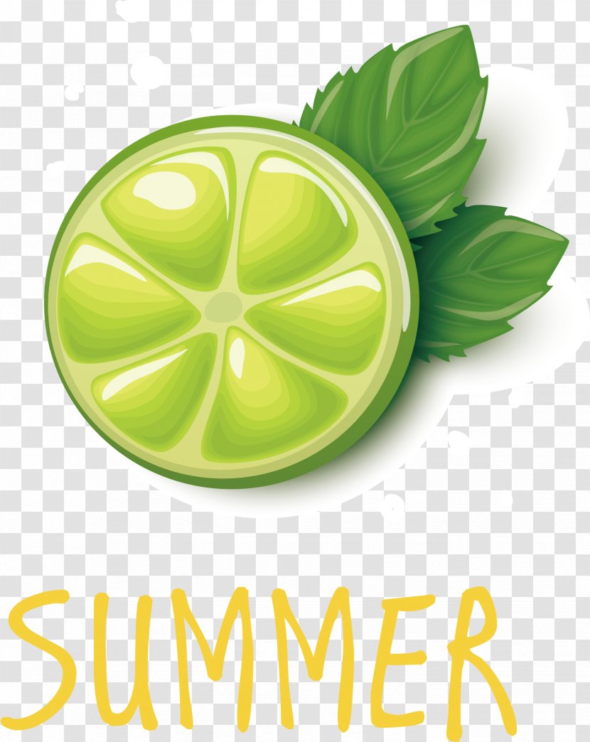 Lime Lemon Grapefruit Juice Pomelo - Green - Vector Transparent PNG