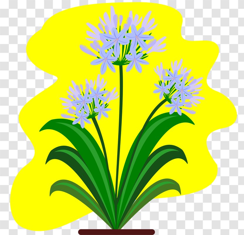 Cut Flowers Lily Of The Nile Plant Clip Art - Stem - Flower Transparent PNG