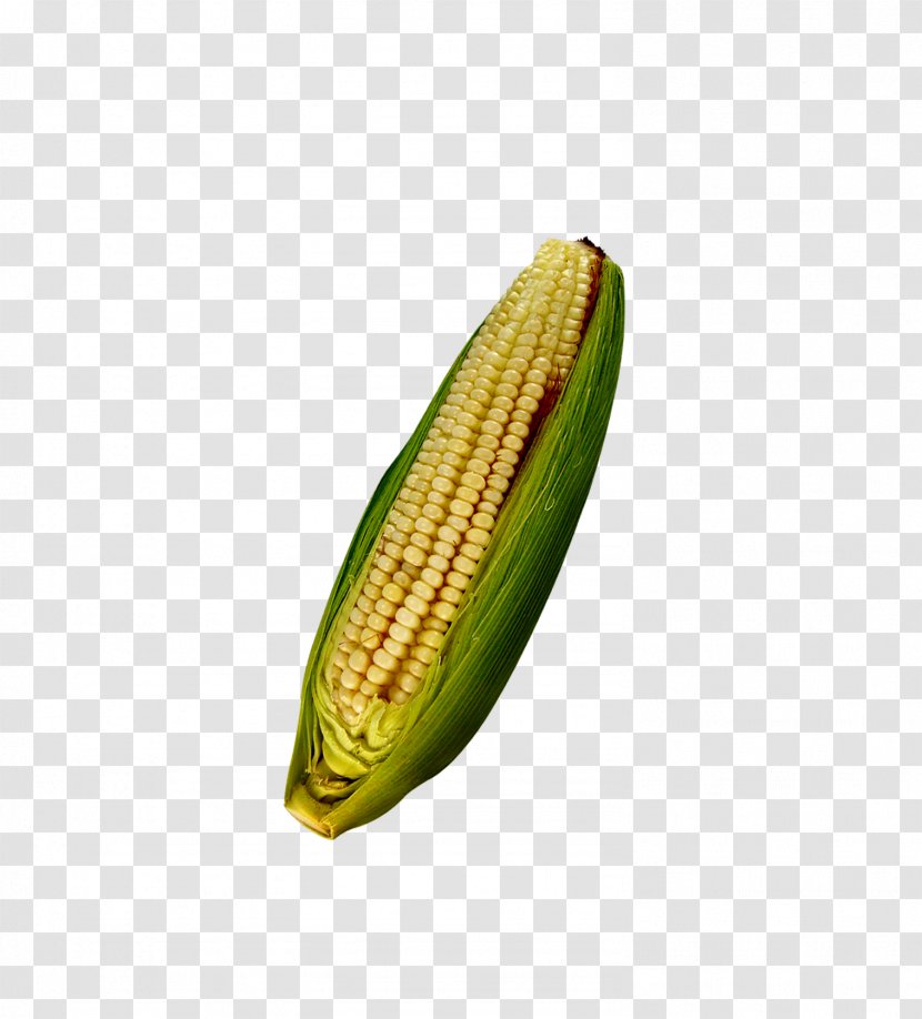 Corn On The Cob Maize Cereal Computer File Transparent PNG