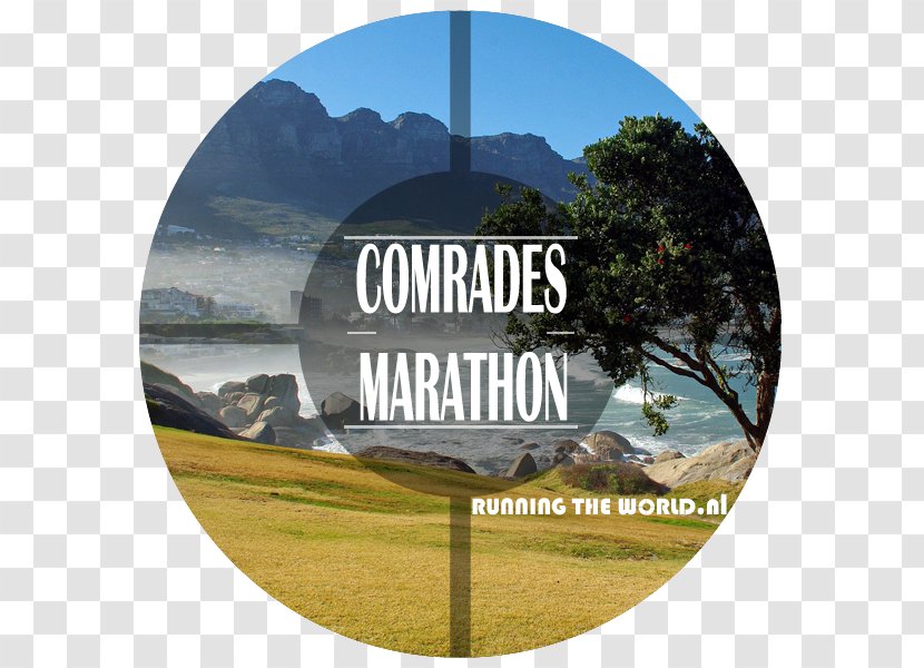 Comrades Marathon Boston South Africa Ultramarathon - Human Spirit - Road Running Transparent PNG