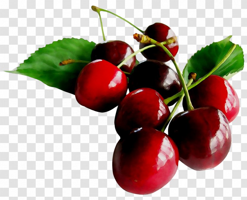 Liqueur Kirsch Cherries Red Wine Juice - Prunus Transparent PNG