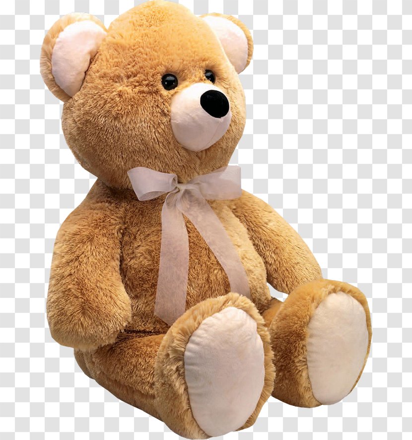 Bear Stuffed Animals & Cuddly Toys Beanie Babies Ty Inc. - Flower Transparent PNG