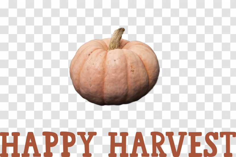 Happy Harvest Harvest Time Transparent PNG