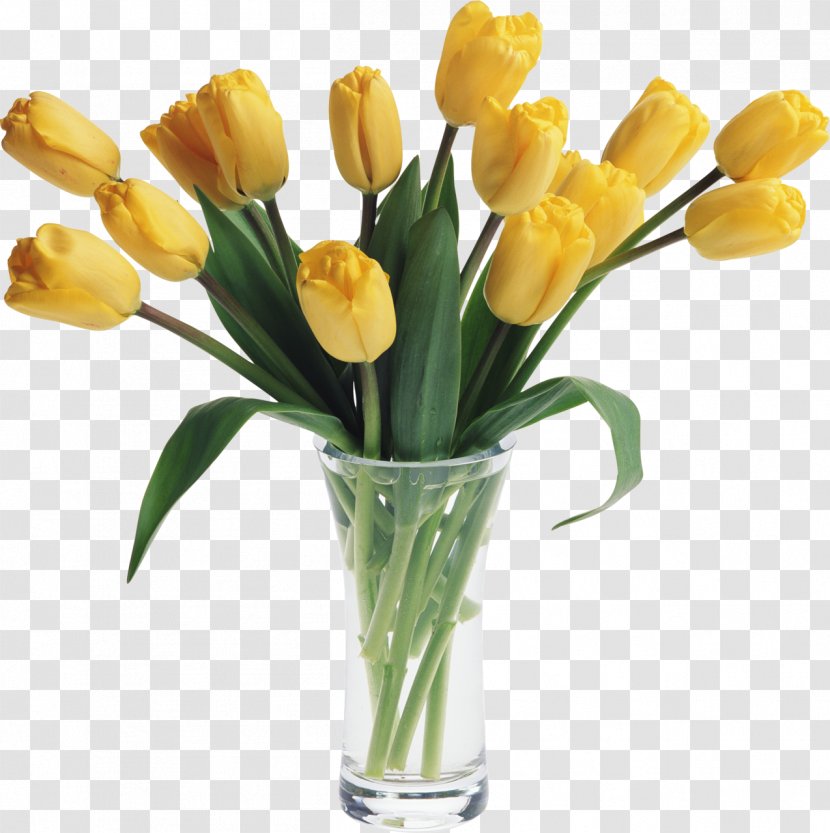 Tulip Gfycat Facebook - Yellow - Vase Transparent PNG