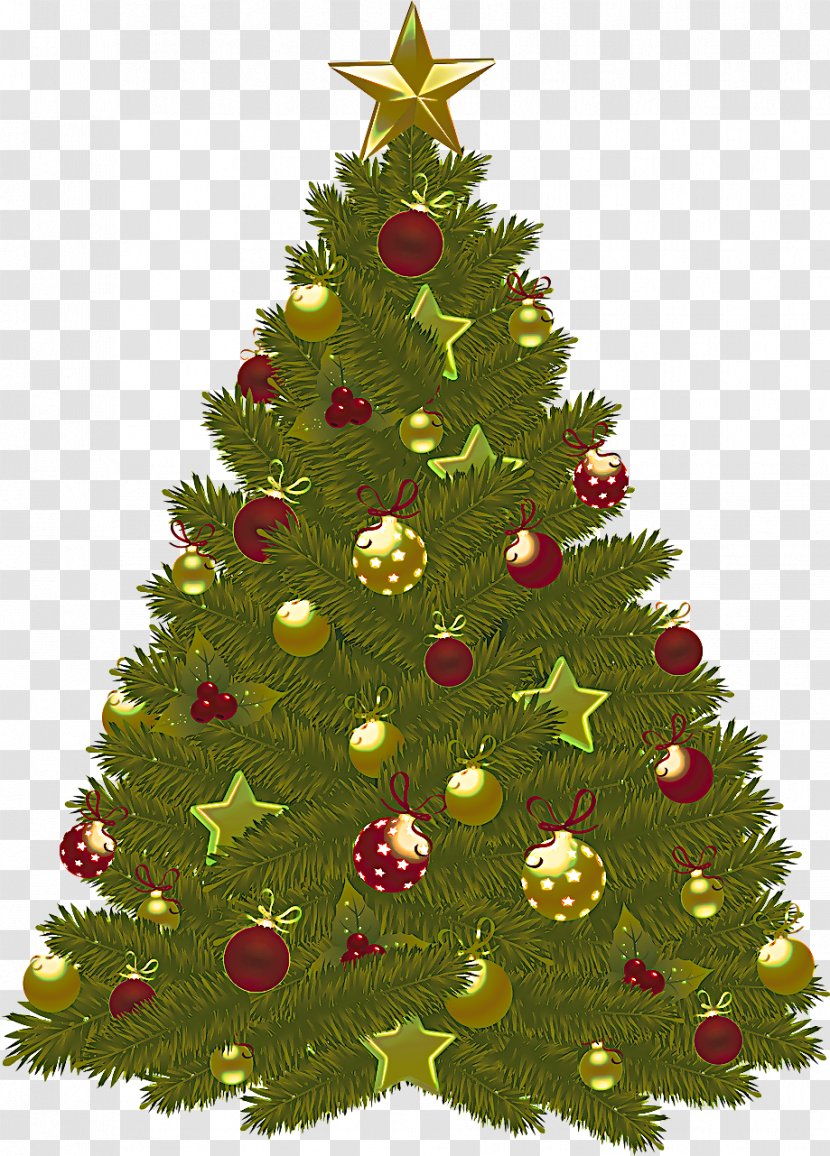 Christmas Tree - Oregon Pine - Spruce Holiday Ornament Transparent PNG