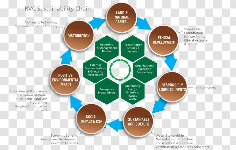 Brand Organization Diagram - Text - Design Transparent PNG