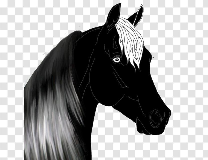 Mustang Stallion Pony Halter Bridle - Rein Transparent PNG