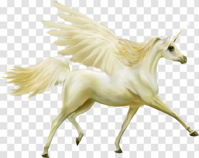 Unicorn Pegasus Horse Transparent PNG