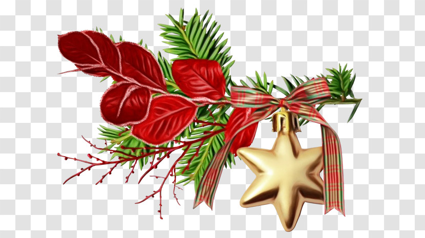 Plant Tree Fir Christmas Conifer Transparent PNG