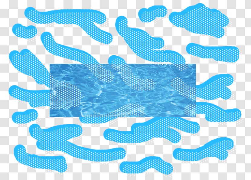 Marine Mammal Animation Line Font - Fish Transparent PNG