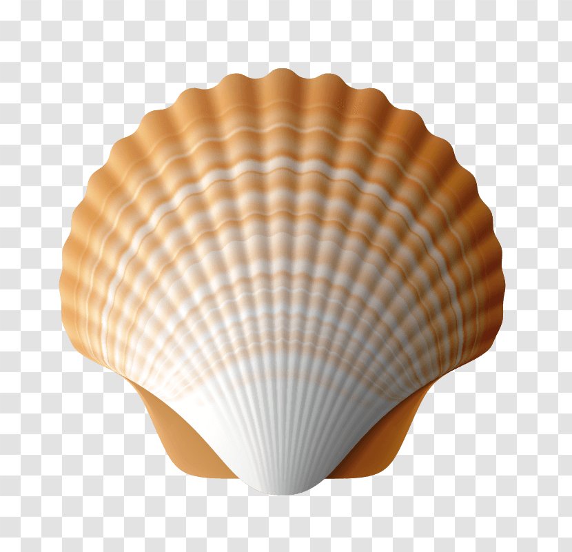 Stock Photography Camino De Santiago Sales Seashell Getty Images Transparent PNG