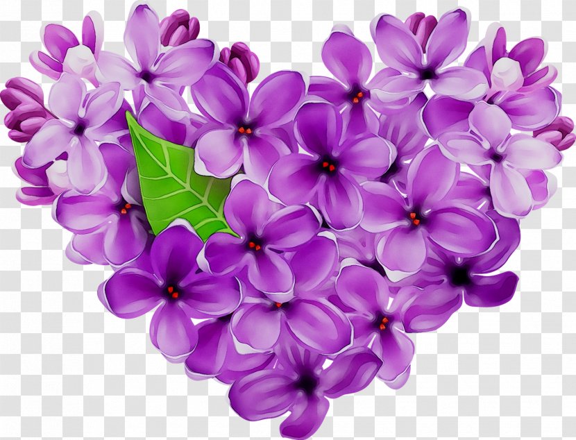 Cut Flowers - Flowering Plant Transparent PNG