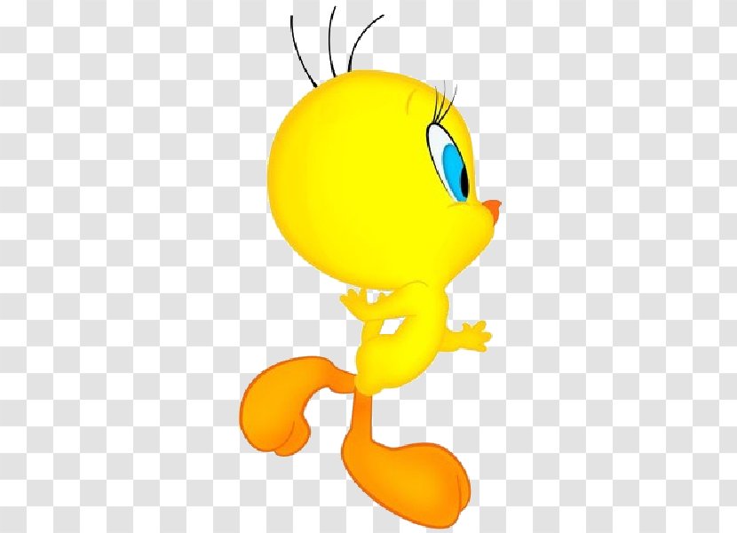 Tweety Graphic Frames Character Clip Art - Cartoon Transparent PNG