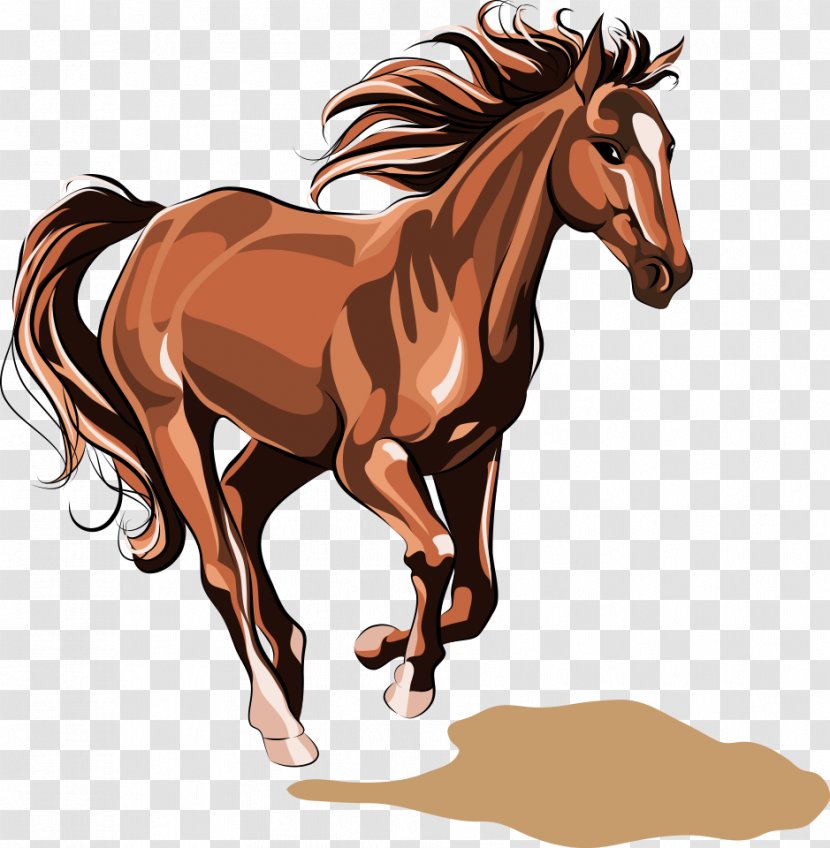 Horse Chinese Zodiac Stock Illustration - Photography Transparent PNG