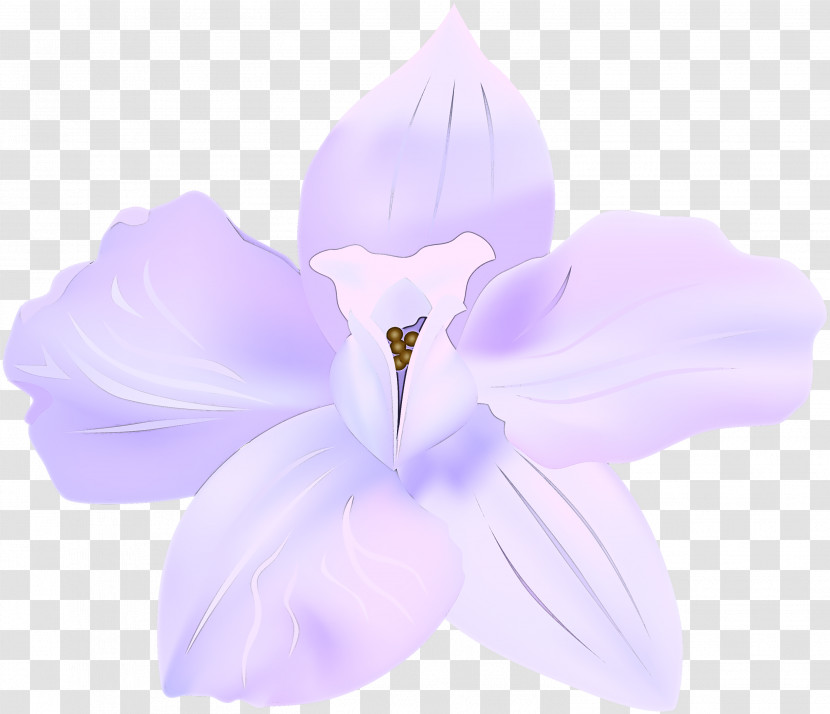 Lavender Transparent PNG