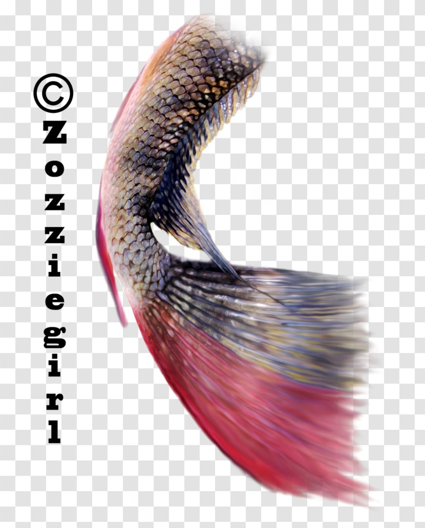 Mermaid Tail Drawing Clip Art - Eyelash Transparent PNG