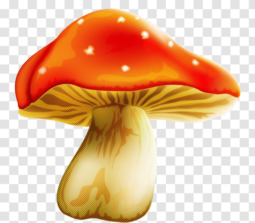 Orange - Fungus Edible Mushroom Transparent PNG