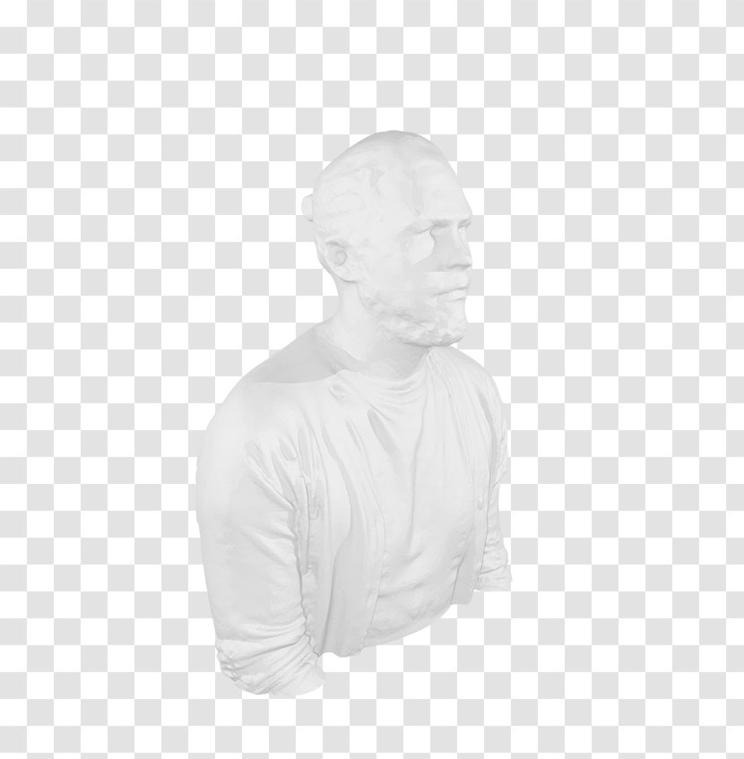 Classical Sculpture Monochrome - White - Diplome Transparent PNG