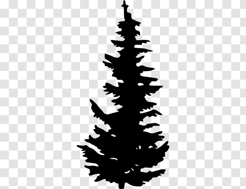 Evergreen Tree Pine Clip Art - Christmas Ornament - Vector Transparent PNG